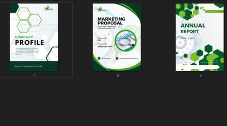 Company marketing Templates